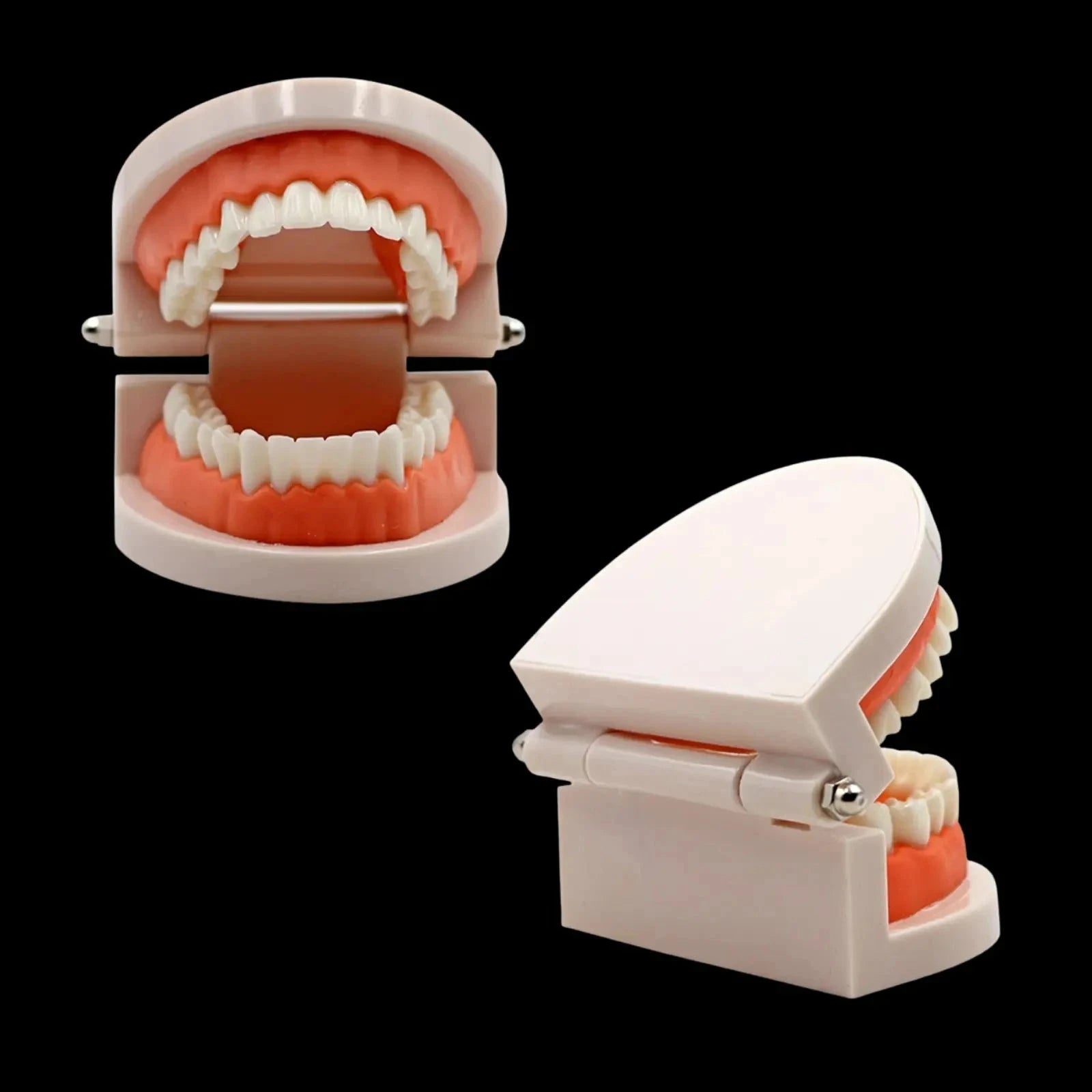 DENTIER D'ENTRAINEMENT accessoire dentaire Tooth Gems World 