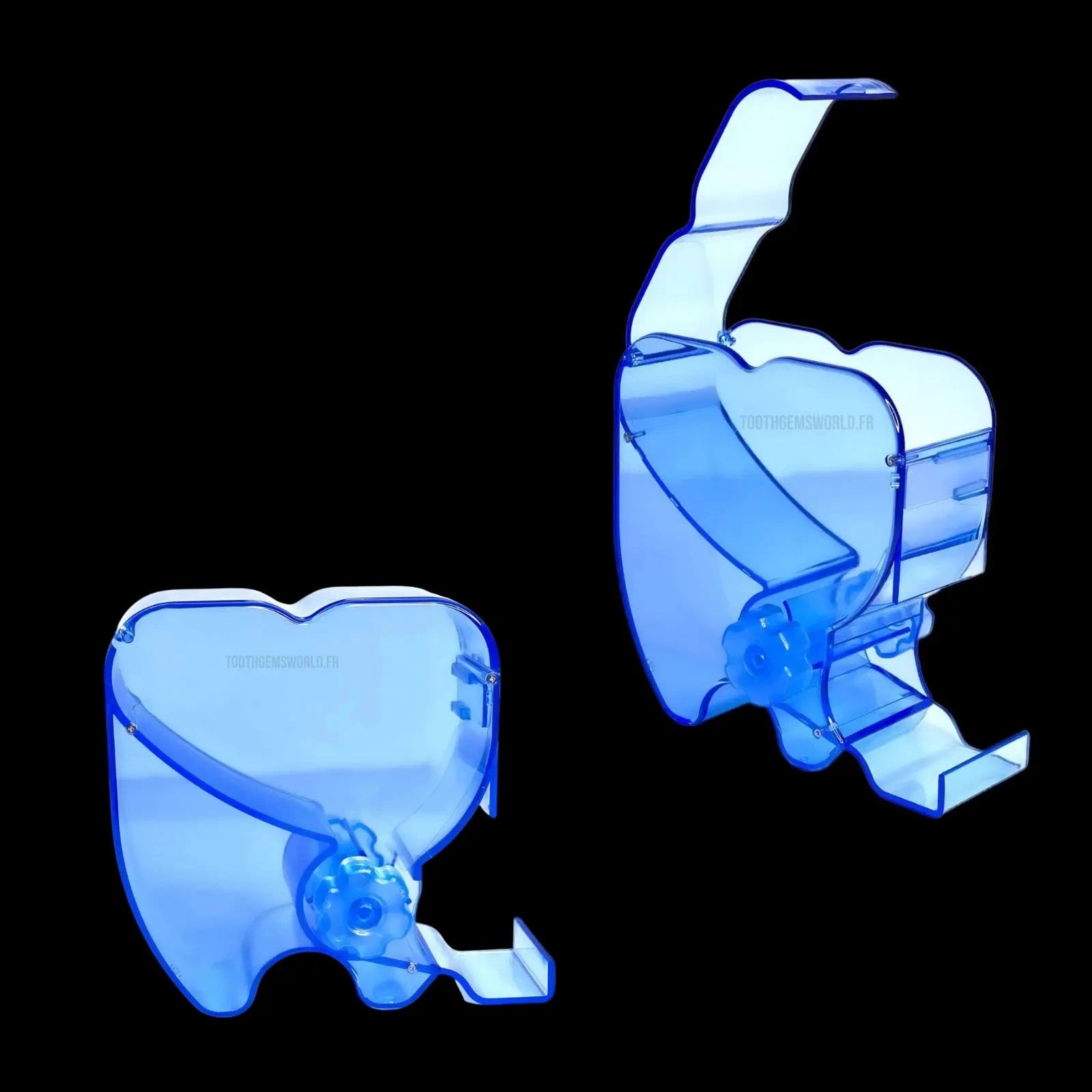DISTRIBUTEUR DE COTONS Tooth Gems World BLEU 