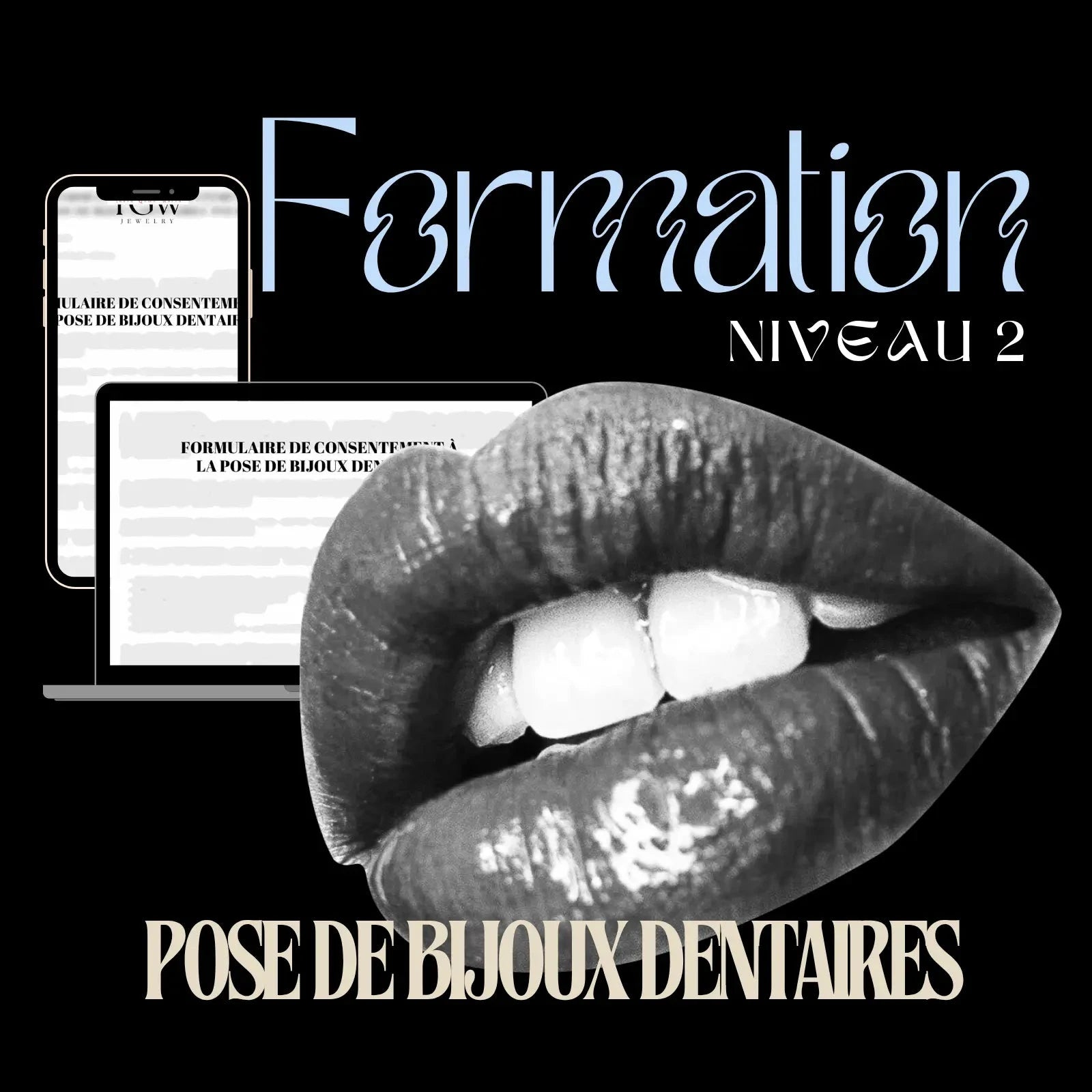 PERFECTIONNEMENT À LA POSE DE BIJOUX DENTAIRES - FORMATION NIVEAU 2 FORMATION Tooth Gems World VERSION FRANÇAISE 