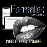 French-language Level 2 tooth gem training image – Tooth Gems World